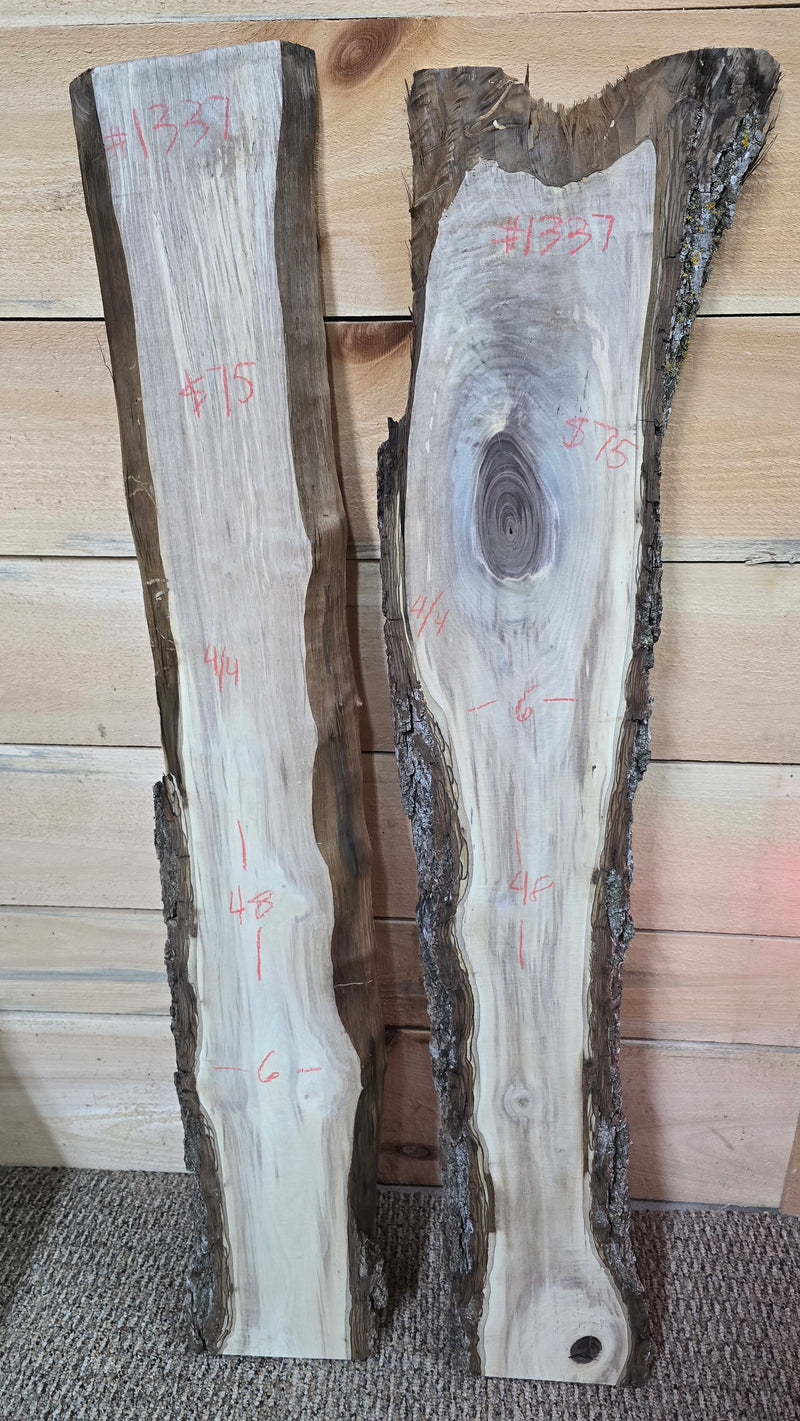 1337 Walnut DIY Bundle