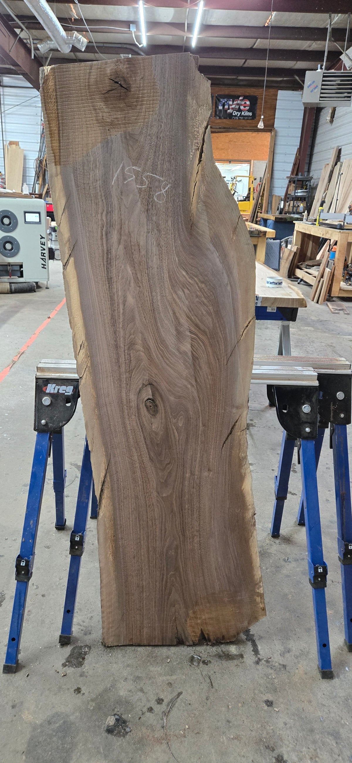 Walnut live edge slab #1558, view 2