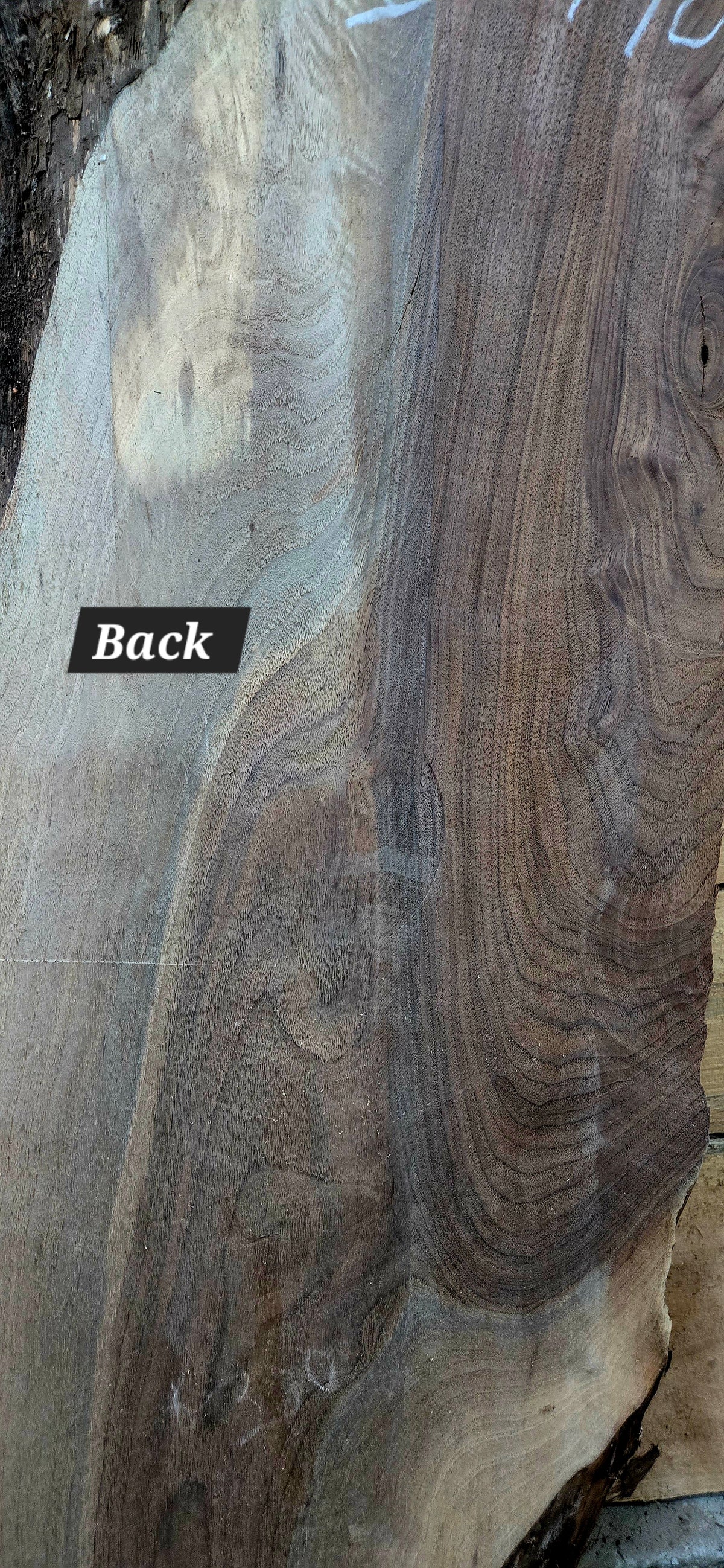 Walnut live edge slab #1821, view 4