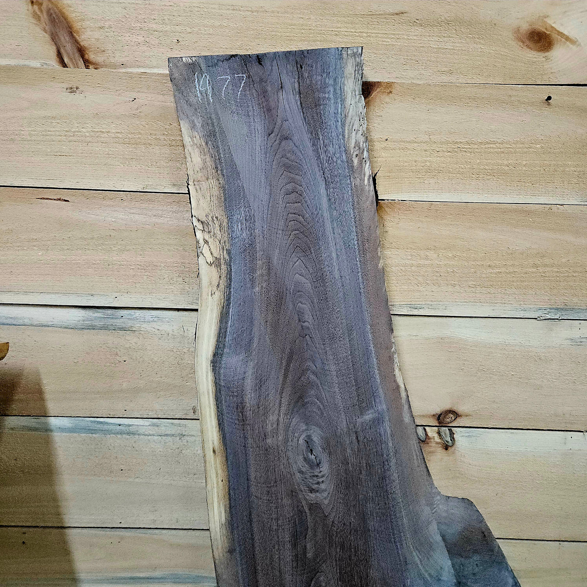 1977 Walnut Live Edge Slab – 50" × 9 - 21" × 8/4"