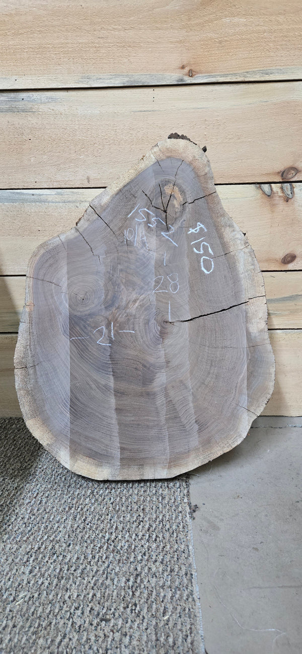 1552 Walnut Slab