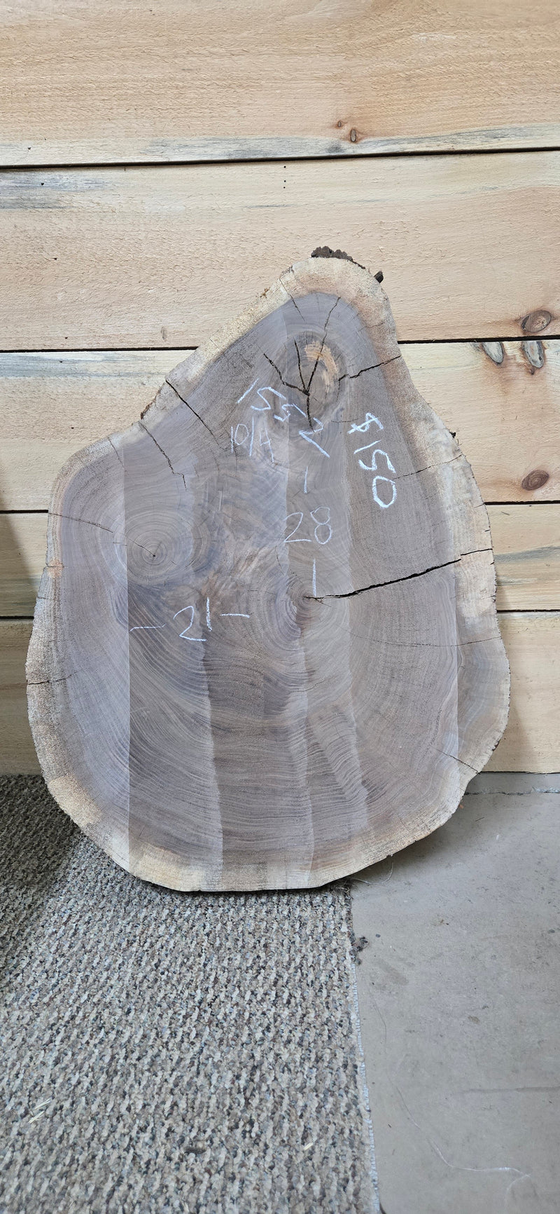 1552 Walnut Slab