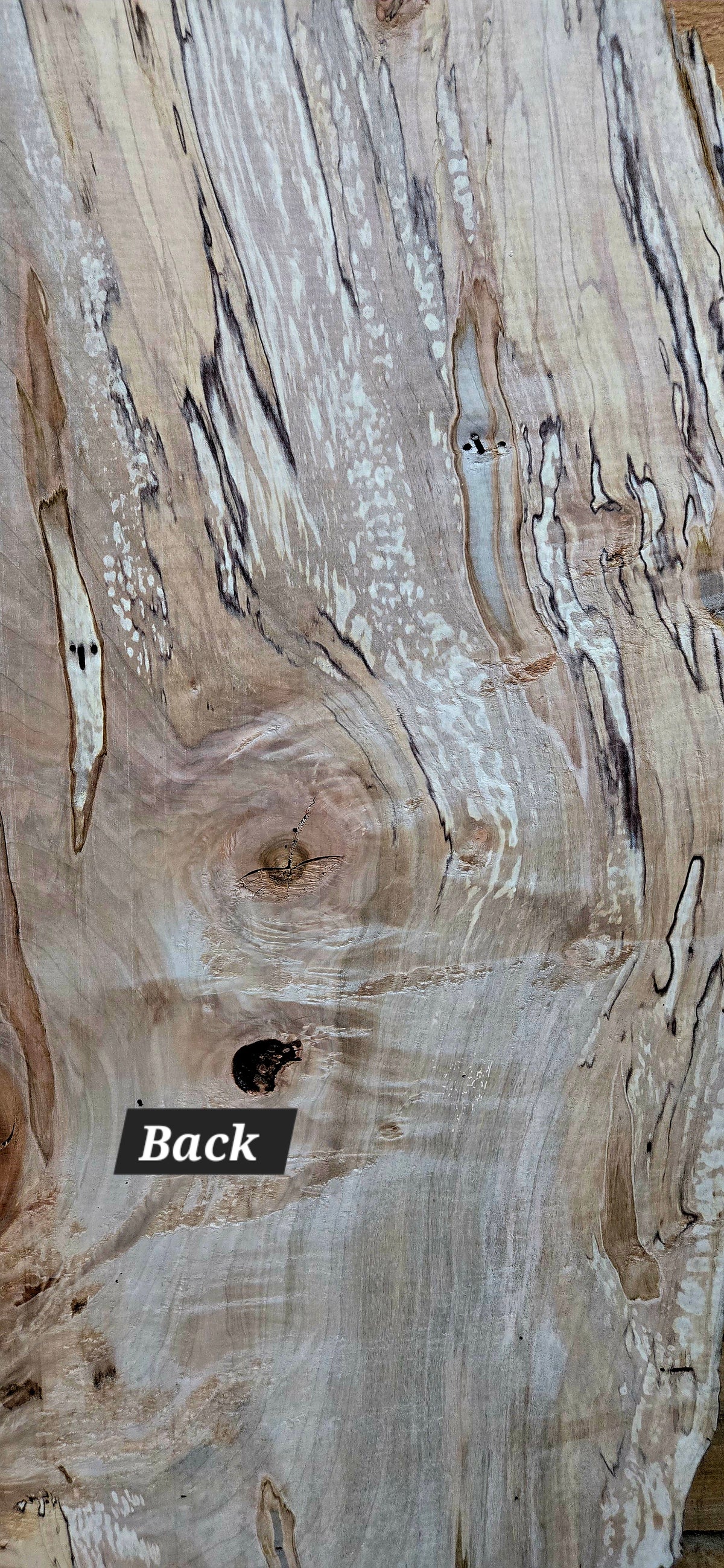 Curly Spalted Ambrosia Maple live edge slab #1842, view 5