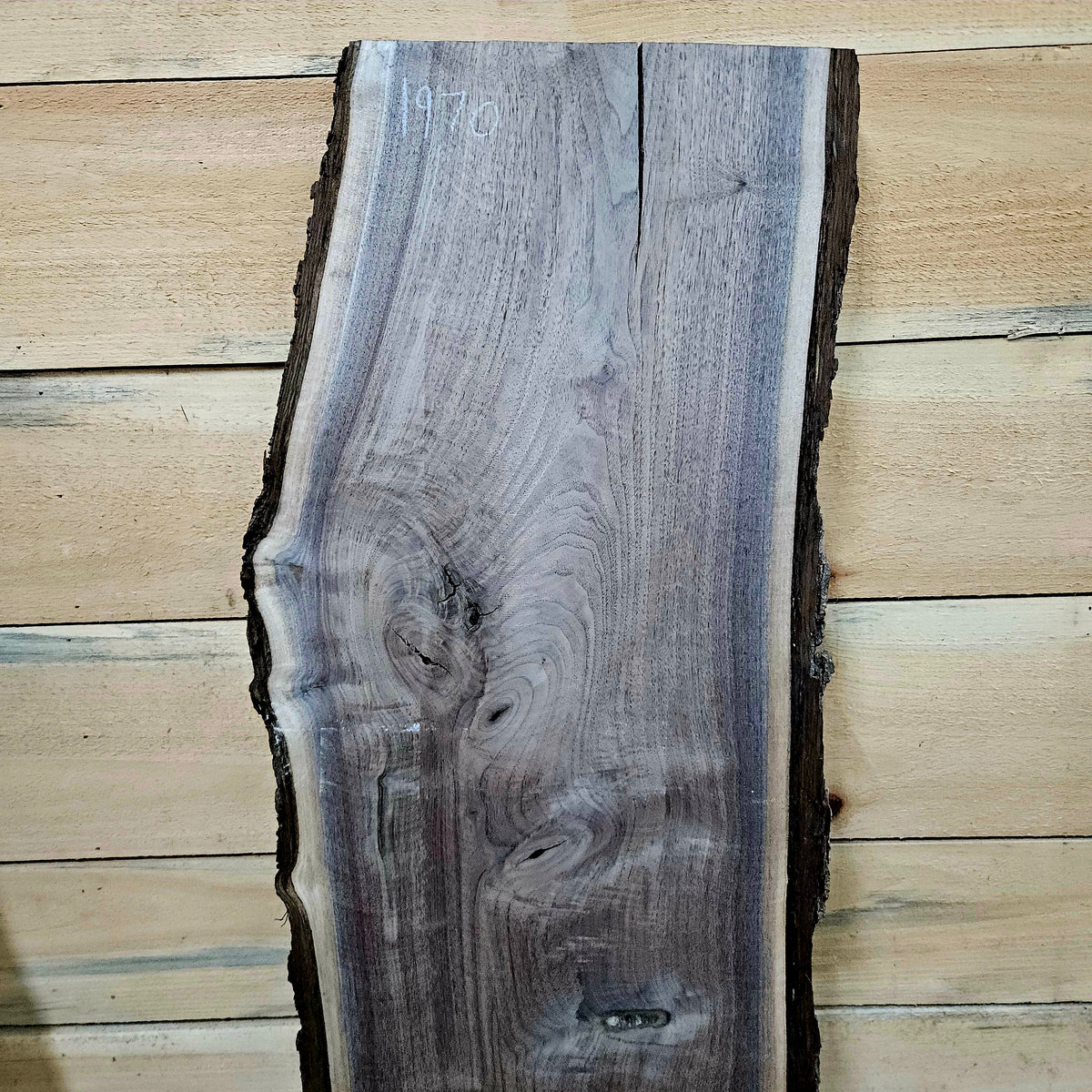 1970 Walnut Live Edge Slab – 40" × 10 - 14" × 8/4"