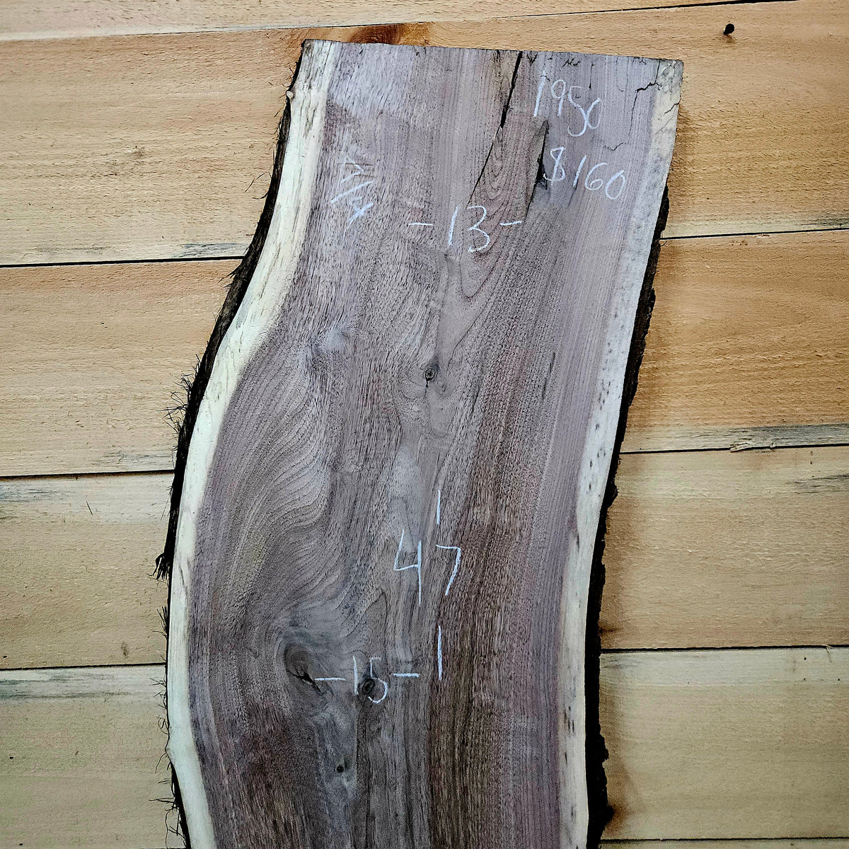 1950 Walnut Live Edge Slab – 47" × 13 - 15" × 7/4"