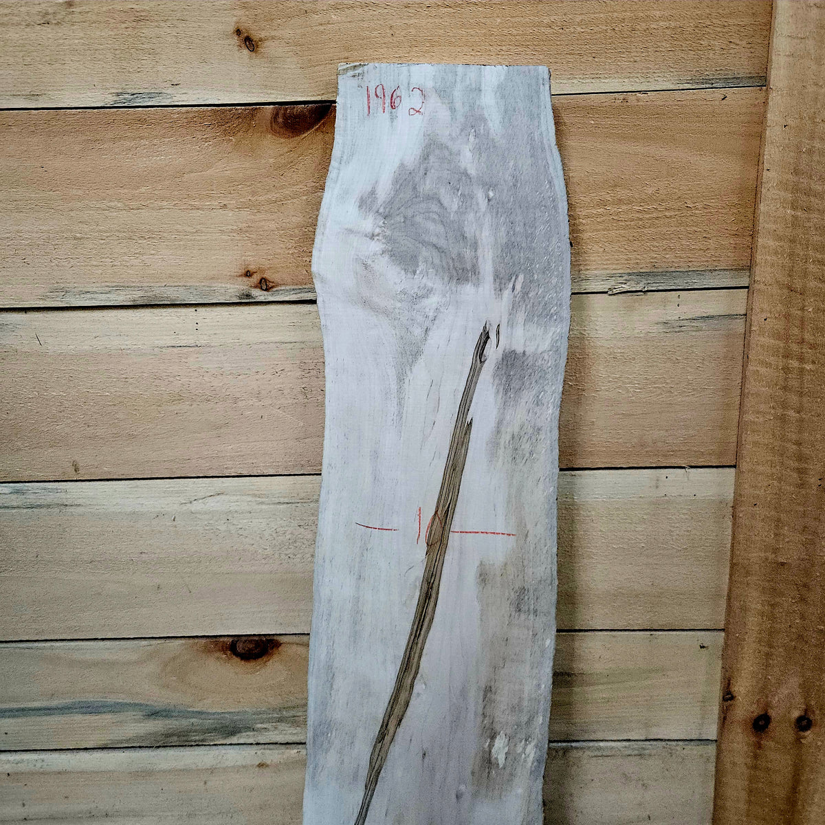 1962 Curly Maple Live Edge Slab – 41" x 4 - 10" × 6/4"