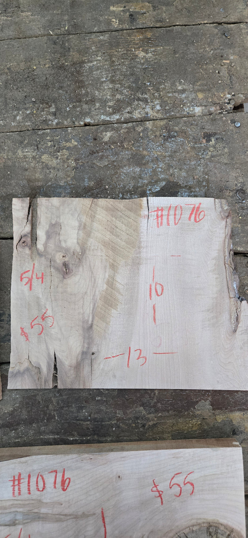 1076 Curly ambrosia Maple DIY bundle