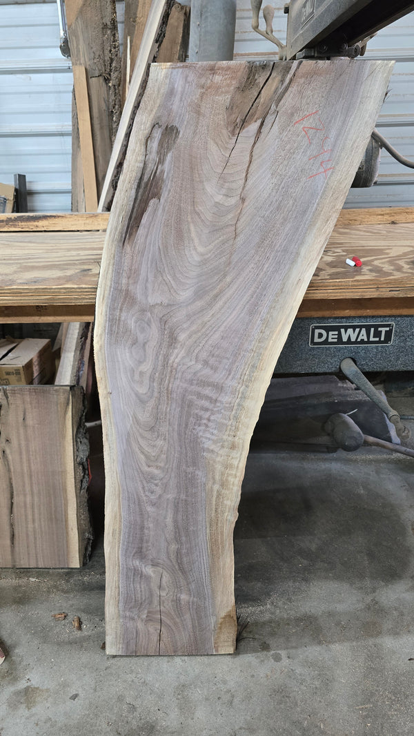 1294 Walnut Slab