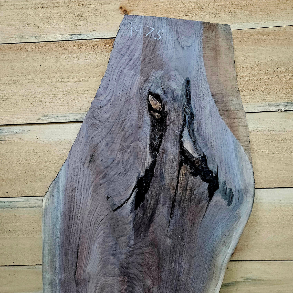 1975 Walnut Live Edge Slab – 42" × 12 - 18" × 6/4"