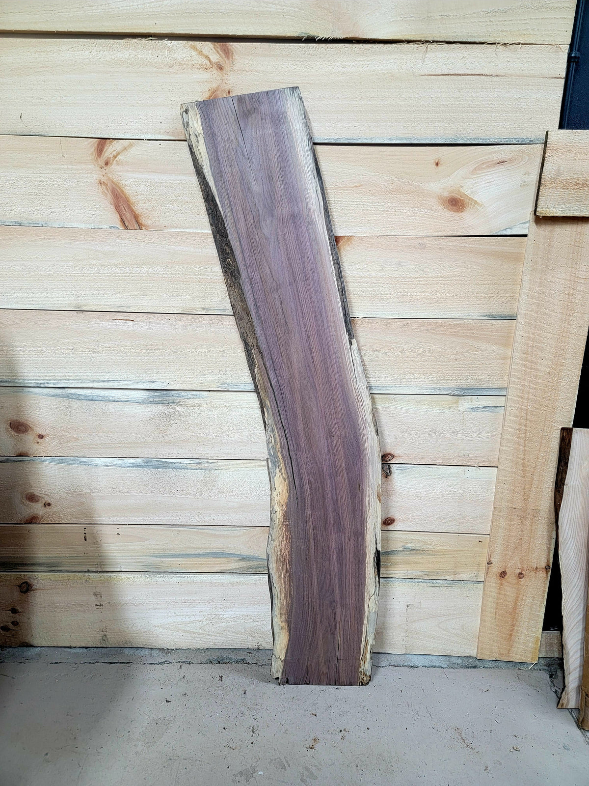Walnut live edge slab #374, view 2